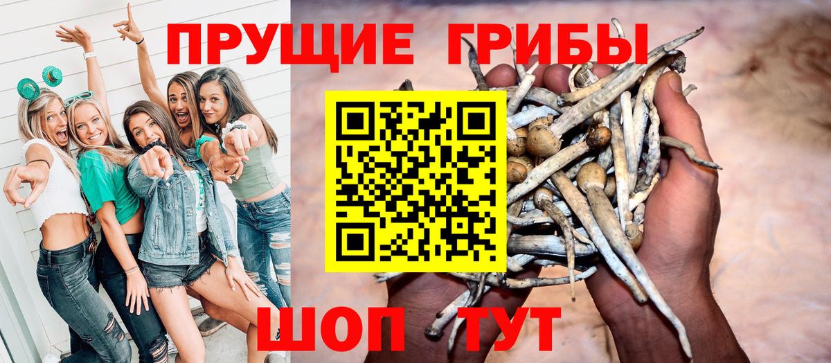 Лянтор  Псилоцибиновые грибы прущие грибы  Вход с VPN 